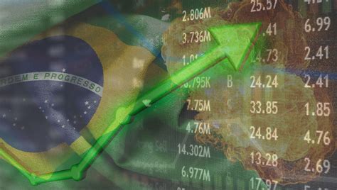 Selic A 11 75 Bolsa Brasileira Pode Ganhar A Alta Dos Juros