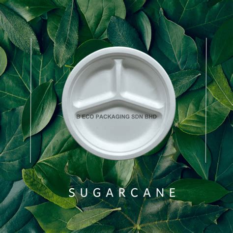 Sugarcane Disposable Party Plate Compartment