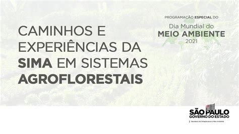 Caminhos E Experiências Da Sima Em Sistemas Agroflorestais Youtube