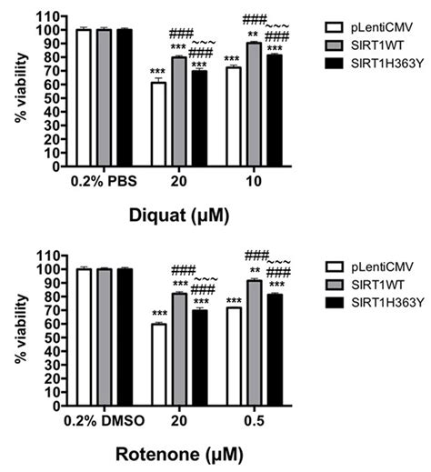 Effect Of Sirt1 And Its Deacetylase Activity On Cell Viability Of Toxin Download Scientific