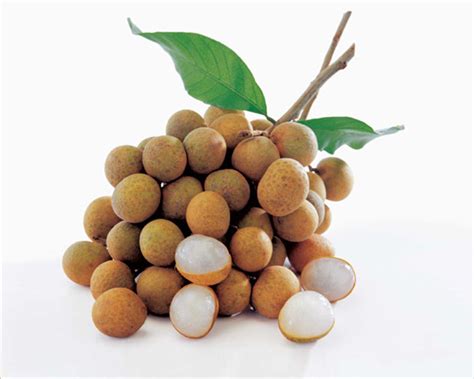 fruits longan