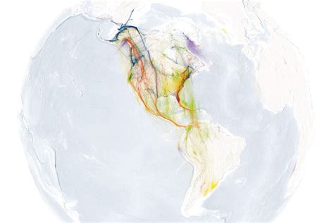 Bird Migration Explorer: North Carolina | Audubon North Carolina