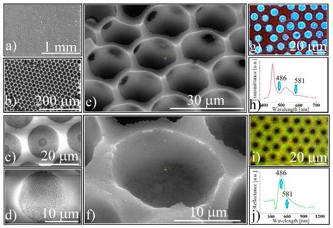 Polymers Free Full Text Shaping In The Third Direction Fabrication