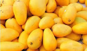 Mangoes From Pakistan Will Be Transported By Road To China