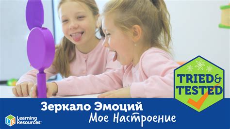 Зеркало эмоций "Моё настроение". Обзор педагога.