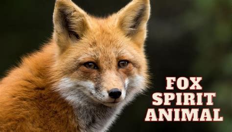 Spiritual Meaning of Fox Spirit Animal | Fox Totem Meaning