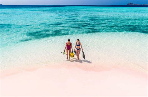 Discovering KOMODO ISLAND | New Idea - lifestyle - Read this story on