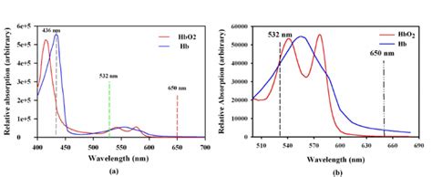 A Relative Absorption Spectra Of Hbo 2 And Hb Between 400 Nm To 700 Download Scientific