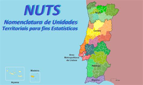 O Que S O As Nuts Etcetera Estudos Textos E Cultura