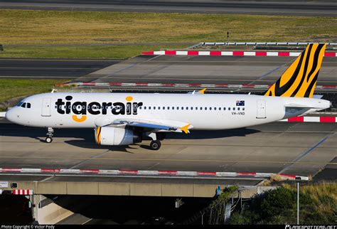 Vh Vnd Tigerair Australia Airbus A Photo By Victor Pody Id