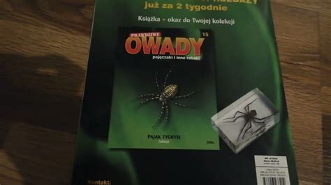 Prawdziwe Owady Paj Czaki I Inne Robaki Tomy Youtube