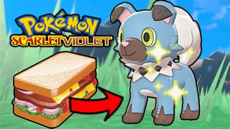 The Hunt For Shiny Rockruff In Pokemon Scarlet Violet Are You Ready