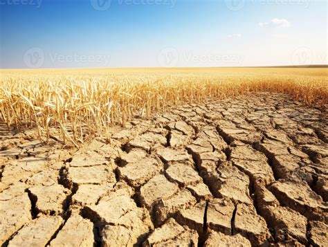 drought conditions  parched soil  dry field  clear sky