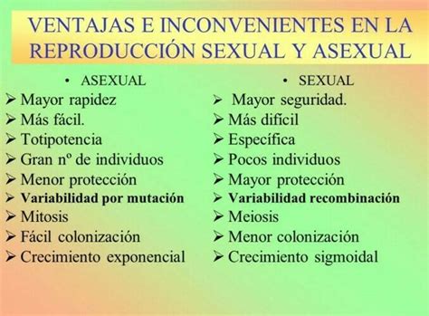 Las 5 ventajas de la reproducción sexual por qué es tan importante