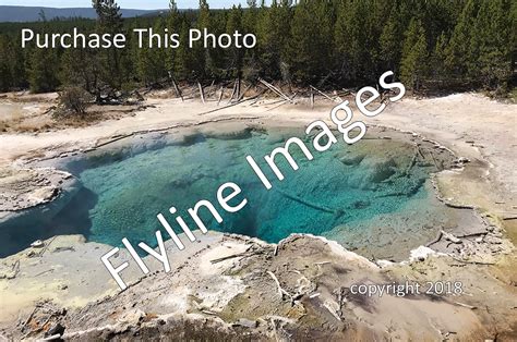 Norris Geyser Basin 11 - Flyline Images