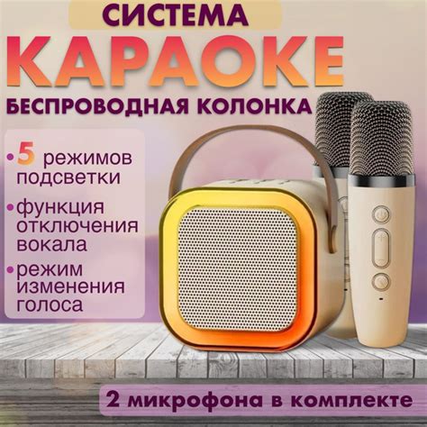 Колонка блютуз беспроводная, караоке система, два микрофона, Bluetooth ...
