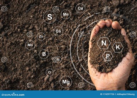 Loamy Soil Texture Cartoon Vector | CartoonDealer.com #90796795