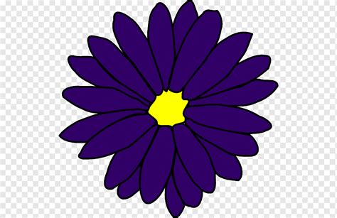 Flower Sun Flower Purple Herbaceous Plant Violet Png Pngwing