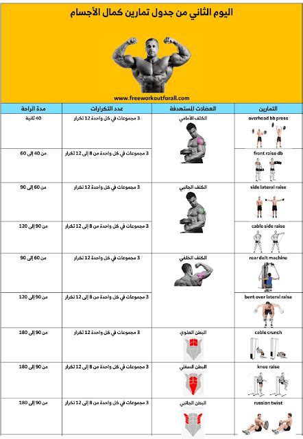 جدول تمارين كمال الاجسام Gym Workouts For Men Gym Workout Guide