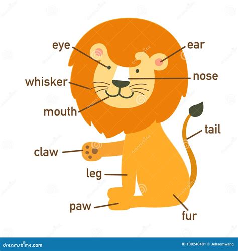 Diagram Lion Body Parts