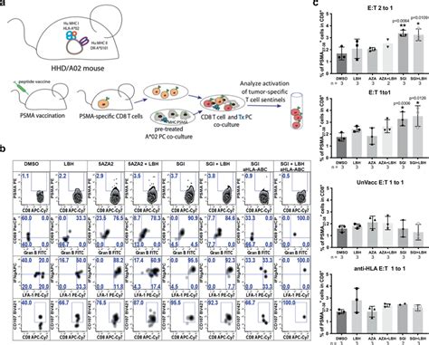 DNMT And HDAC Inhibition In Tumor Cells Increase Co Cultured T Cell