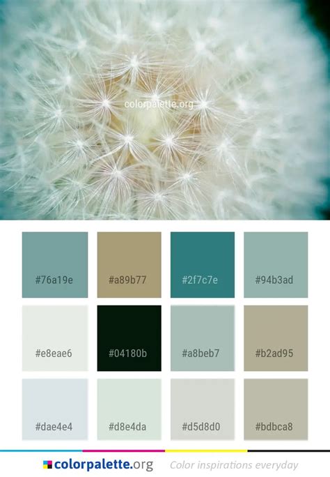 Flower Nature Dandelion Color Palette