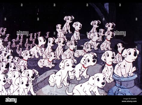 ONE HUNDRED AND ONE DALMATIANS Stock Photo: 68041643 - Alamy