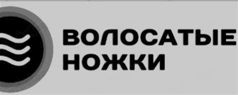 волосатые ножки 2024 | ВКонтакте