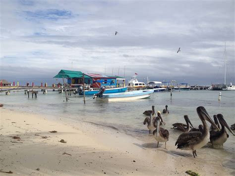 San Pedro Island - Belize | Travelwider