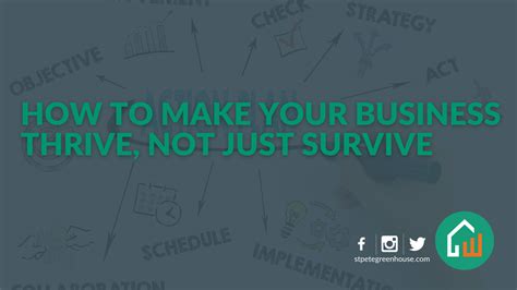 How To Make Your Business Thrive Not Just Survive