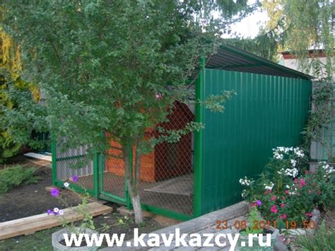 Строительство вольера для кавказской овчарки с фотографиями