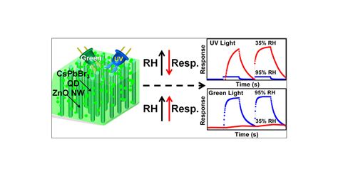 Perovskite Quantum Dotzno Nanowire Composites For Ultravioletvisible