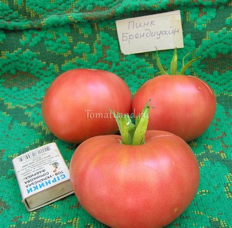 Томат Пинк Брендиуайн: ОТЗЫВЫ, фото, урожайность | tomatland.ru