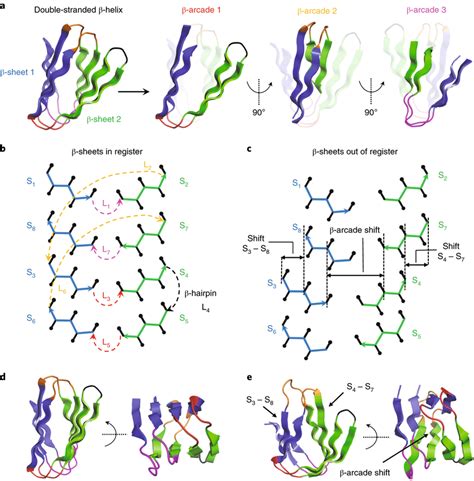 Double-stranded β-helix topology specification a, The double-stranded ...