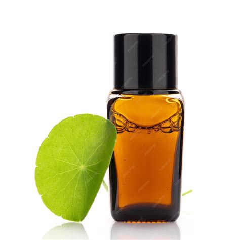 Centella Asiatica Oil Extract Cas No 8