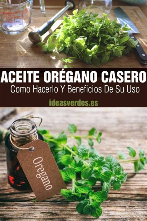 Como Hacer Aceite De Or Gano Casero Y Beneficios De Su Uso Ideas Verdes