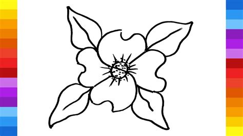 How To Draw A Dogwood Flower