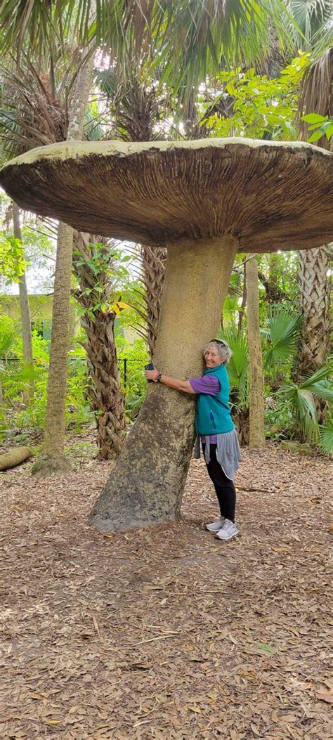 𓉑𝓖𝓞𝓓𝓓𝓔𝓢𝓢 Ki𓉑𒆠𒊹 on Twitter Friend Is Discovered By Giant Mushroom