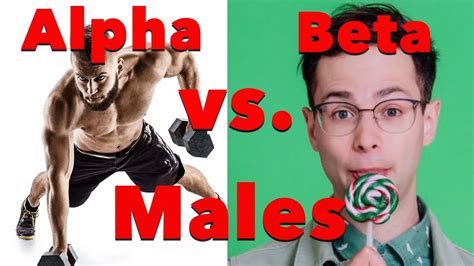 Beta Males Vs Alpha Males Do Women Prefer Beta Over Alpha Youtube