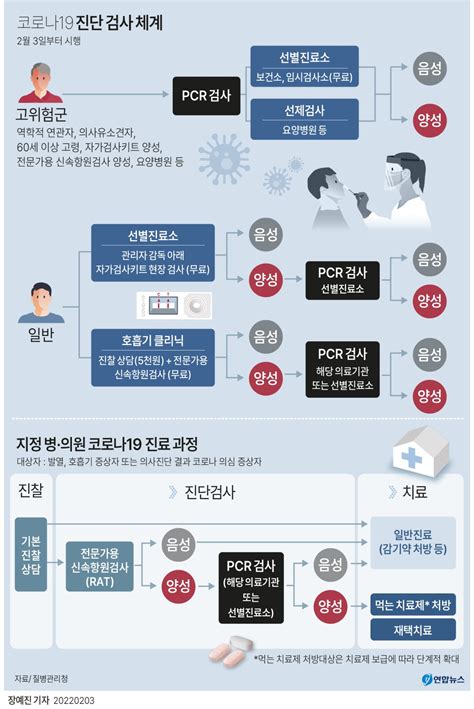 그래픽 코로나19 진단 검사 체계 연합뉴스