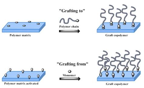 Synthesis Of Polymer Brushes Using Grafting To And Grafting From