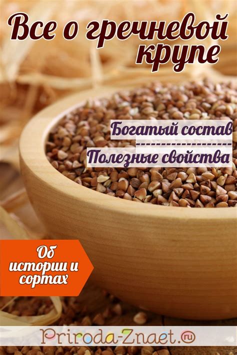 Гречневая крупа — польза и вред, стандарт по ГОСТу | Food, Tasting, Recipes