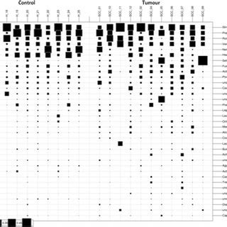 Pairwise Comparison DeSeq Analysis Differential Abundant OTUs P