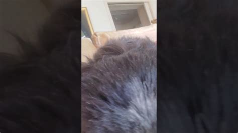 A Sweet Babe YouTube