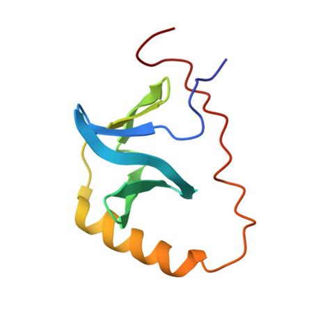 RCSB PDB 2KK4 Solution NMR Structure Of Protein AF2094 From