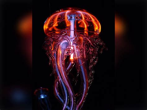 Research: Stinging cells of Jellyfish hold clues to biodiversity ...