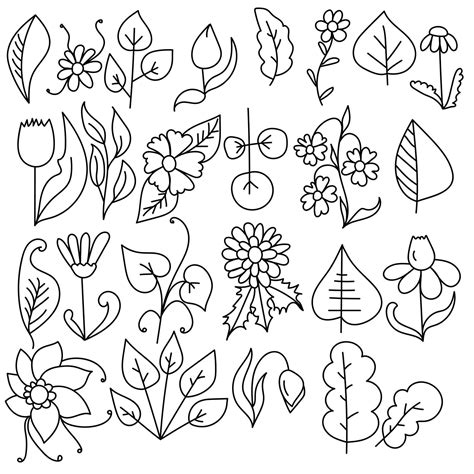 Doodle Flowers And Leaves Set Botanical Collection Of Contour Elements