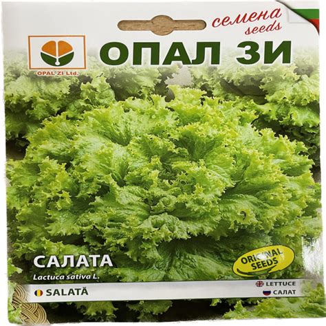 Seminte Salata Creata 2 Gr OpalZi Bulgaria FERMIER