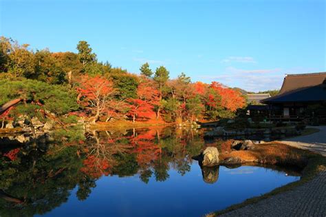 朝一番で訪問すべし！紅葉庭園が美しい京都嵐山の「天龍寺」 京都府 トラベルジェイピー 旅行ガイド