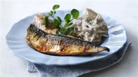 Mackerel Recipes Bbc Food